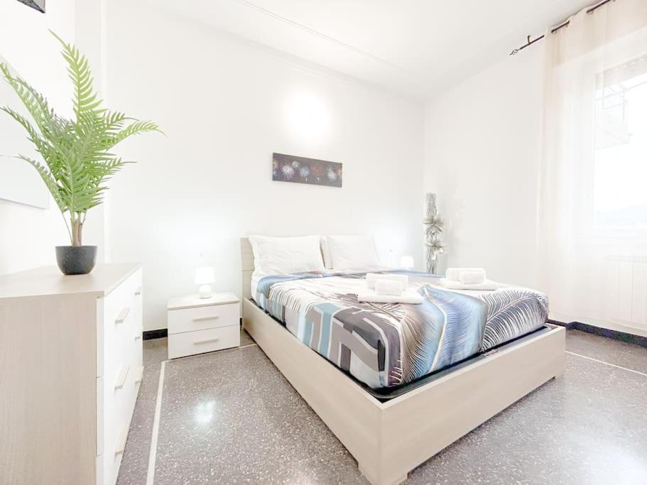 Elegant Apartment - Wifi - Smart Tv - Netflix Genova Esterno foto